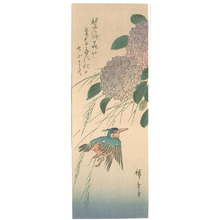 歌川広重: Kingfisher and Hydrangea (Muller Collection) - Artelino
