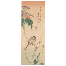 Utagawa Hiroshige: Bird and Morning glory (Muller Collection) - Artelino