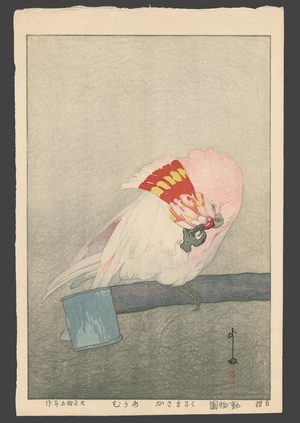 Unknown: Karumazoka Parrot - The Art of Japan
