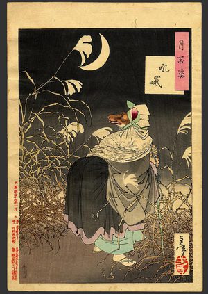 Tsukioka Yoshitoshi: #13 The cry of the fox - The Art of Japan