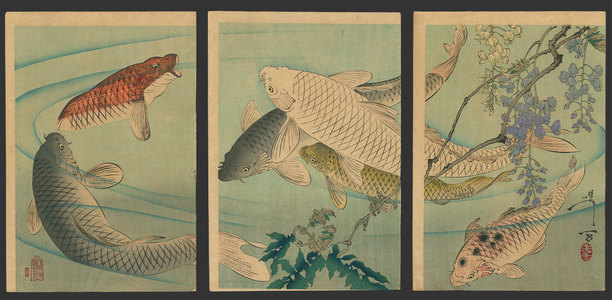 Tsukioka Yoshitoshi: Untitled (Koi swimming beneath wisteria) - The Art of Japan