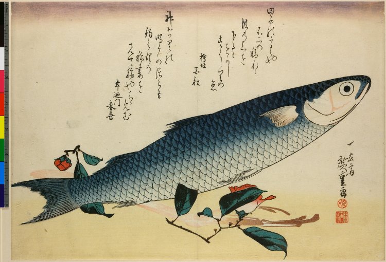 Utagawa Hiroshige: Unknown title — 魚づくしより ぼらにうど 