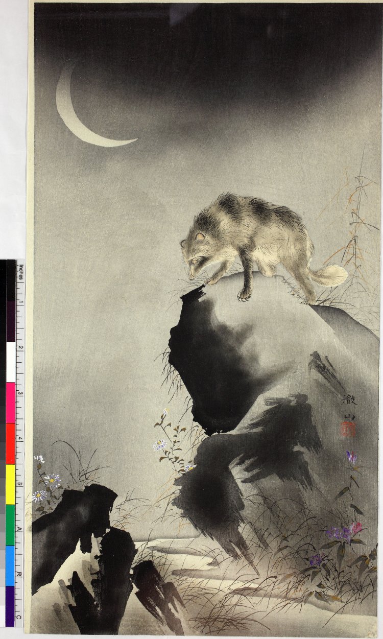 森徹山: Racoon Dog and the Moon - Artelino - 浮世絵検索