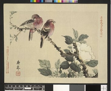 今尾景年: Keinen kacho gakan 景年花鳥画鏡 (Birds and Flowers Painting Album) - 大英博物館