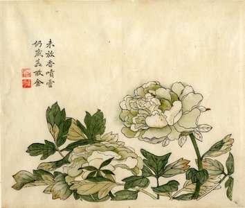 Japanese Print "Peony / The Mustard Seed Garden Painting Manual; 芥子園畫傳; Jiezhiyuan hua zhuan" by Unknown, 無款 (null)