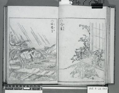 鳥山石燕: Konjaku zoku hakki 今昔続百鬼 (Night Procession of One Hundred Demons) - 大英博物館