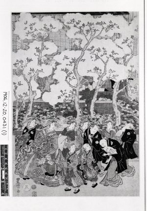 Utagawa Toyokuni I: Shin-Yoshiwara sakura no keshiki - British Museum