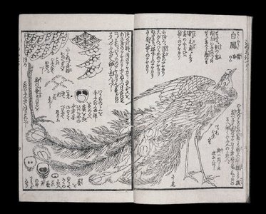 Japanese Print "(Ehon) Saishiki Tsu 絵本彩色通" by Katsushika Hokusai, 葛飾北斎 (Katsushika Hokusai (葛飾北斎))