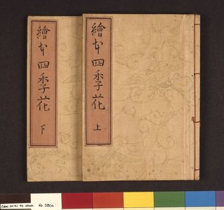 Kitagawa Utamaro: Ehon shiki no hana 絵本四季の花 (Picture-book of the Flowers of the Four Seasons) - British Museum