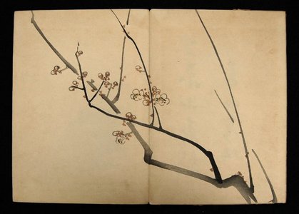 Shibata Zeshin: Zeshin iboku Tairyukyo gafu - British Museum