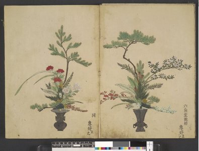 Japanese Print "Rikka zu 立華図 (Pictures of Upright Flower Arrangements)" by Unknown, 無款 (null)