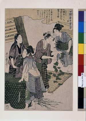 喜多川歌麿: Joshoku kaiko tewaza-gusa, shi, go, roku 女織蚕手業草 四~六 (Women Engaged in the Sericulture Industry, Nos. 4-6) - 大英博物館