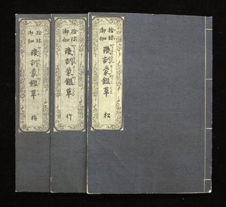 Ichikawa Toyonobu: Karakuri kimmo kagami-gusa - British Museum