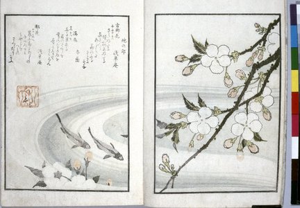 魚屋北渓: Sansai hana hyakushu 三才花百首 (Three Aspects of Flowers in a Collection of One Hundred Verses) - 大英博物館