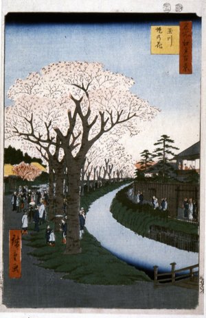 Utagawa Hiroshige: No 42 Tamagawa-zutsumi no hana / Meisho Edo Hyakkei - British Museum