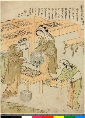 勝川春章: Dai-roku / Kaiko Yashinai-gusa - 大英博物館
