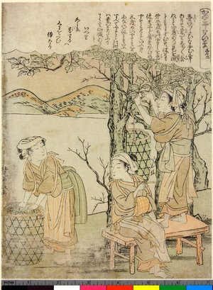 Kitao Shigemasa: Dai-ni / Kaiko Yashinai-gusa - British Museum