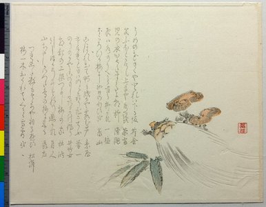 Unknown: surimono - British Museum