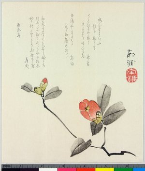 Tanaka Nangai: surimono - British Museum