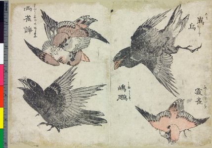 Japanese Print by Katsushika Hokusai, 葛飾北斎 (Katsushika Hokusai (葛飾北斎))