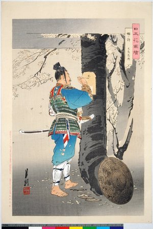 Ogata Gekko: Sakura no shi, Kojima Takanori 桜ノ詩 児島高徳 / Nihon hana zue 日本花図絵 - British Museum