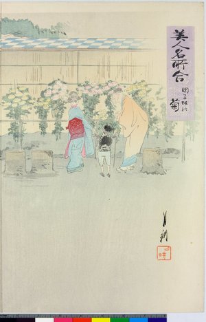尾形月耕: Dango-zaka no kiku 団子坂の菊 / Bijin meisho awase 美人名所合 - 大英博物館