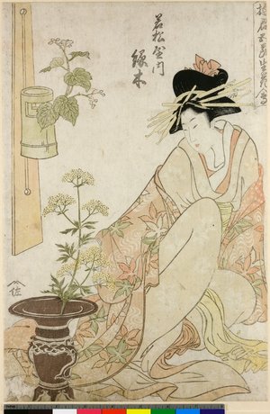 喜多川歌麿: Yukun Gosetsu Ikebana-e - 大英博物館