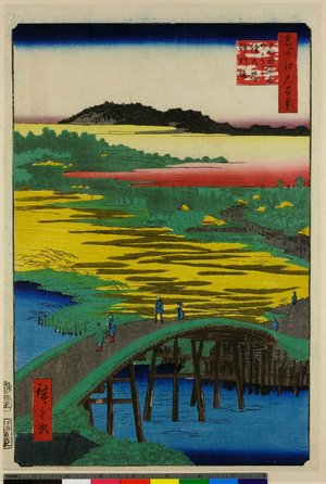 Utagawa Hiroshige: No 116 Takata Sugatami no hashi Omokage no hashi jari-ba / Meisho Edo Hyakkei - British Museum