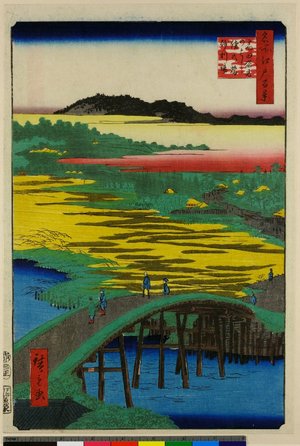 Utagawa Hiroshige, 歌川広重 (Utagawa Hiroshige (歌川広重))による浮世絵「No 116 Takata Sugatami no hashi Omokage no hashi jari-ba / Meisho Edo Hyakkei」