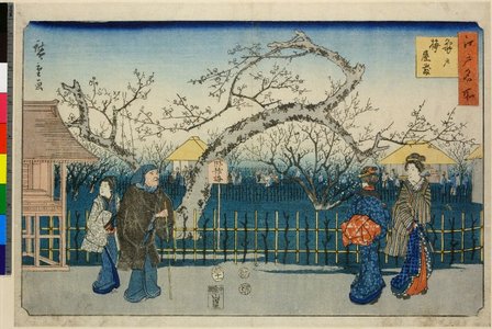 Utagawa Hiroshige: Kameido ume okka / Edo Meisho - British Museum