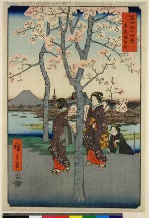 Utagawa Hiroshige: Toto Sumida-tei 東都隅田堤 (Embankment of the Sumida River, Edo) / Fuji sanju-rokkei 冨士三十六景 (Thirty-Six Views of Fuji) - British Museum