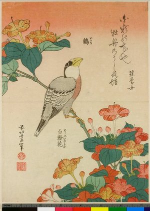 Katsushika Hokusai: Ikaru oshiroi - British Museum