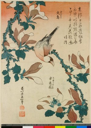 Katsushika Hokusai: Buncho kobushi no hana - British Museum