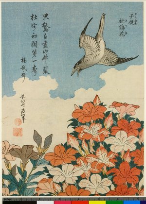 Katsushika Hokusai: Hototogisu satsuki - British Museum