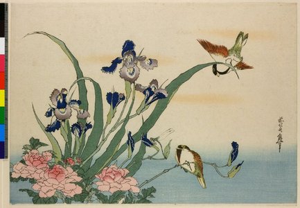 葛飾北斎: surimono (?) / print - 大英博物館
