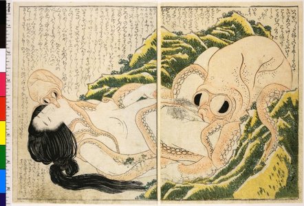 Katsushika Hokusai: Kinoe no komatsu 喜能会之故真通 - British Museum