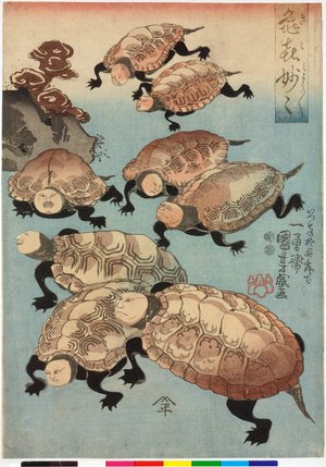 歌川国芳: Kiki myomyo 亀喜妙々 (Turtle Fun: Wonderful, Wonderful) - 大英博物館