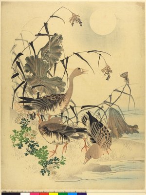河鍋暁斎: diptych print - 大英博物館