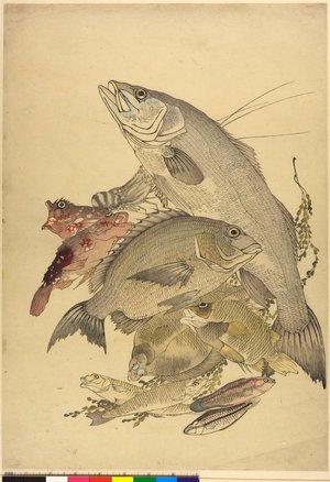 Kawanabe Kyosai: diptych print - British Museum