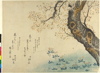 無款: surimono / diptych print - 大英博物館