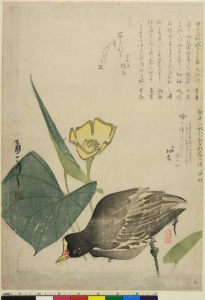 Yamanaka Shonen: surimono - 大英博物館