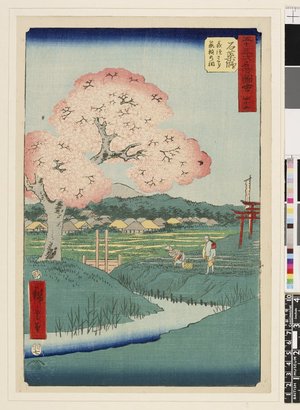 歌川広重: No 45 Ishiyakushi Yoshitsune no sakura / Gojusan-tsugi Meisho Zue - 大英博物館