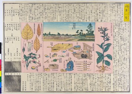 Yoshinobu: print / envelope - British Museum