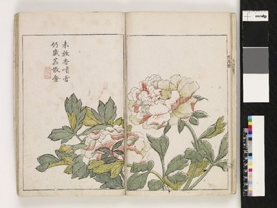 Kawanami Shiroemon: Kaishien gaden 芥子園画伝 (The Mustard Seed Garden Painting Manual) - British Museum