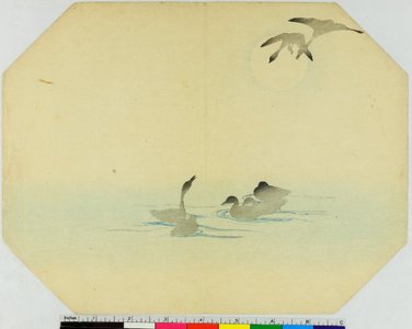 Japanese Print by Unknown, 無款 (null)