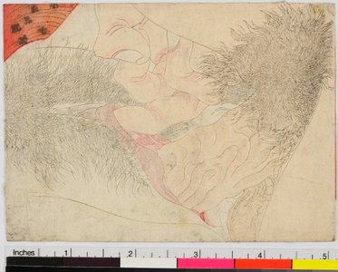 Keisai Eisen, 渓斉英泉 (Keisai Eisen (渓斉英泉))による浮世絵「shunga / egoyomi」