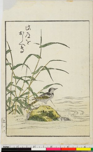 Kitagawa Utamaro: Ehon koi no odamaki 絵本戀濃男娜巻 - British Museum