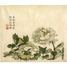 Unknown: Peony / The Mustard Seed Garden Painting Manual; 芥子園畫傳; Jiezhiyuan hua zhuan - British Museum