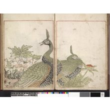 鳥山石燕: Sekien gafu 石燕画譜 - 大英博物館