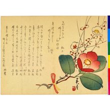 Shunsei: surimono - 大英博物館